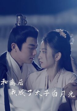 和离后我成了太子白月光