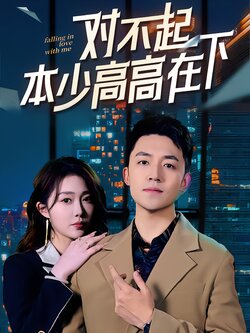 对不起本少高高在下