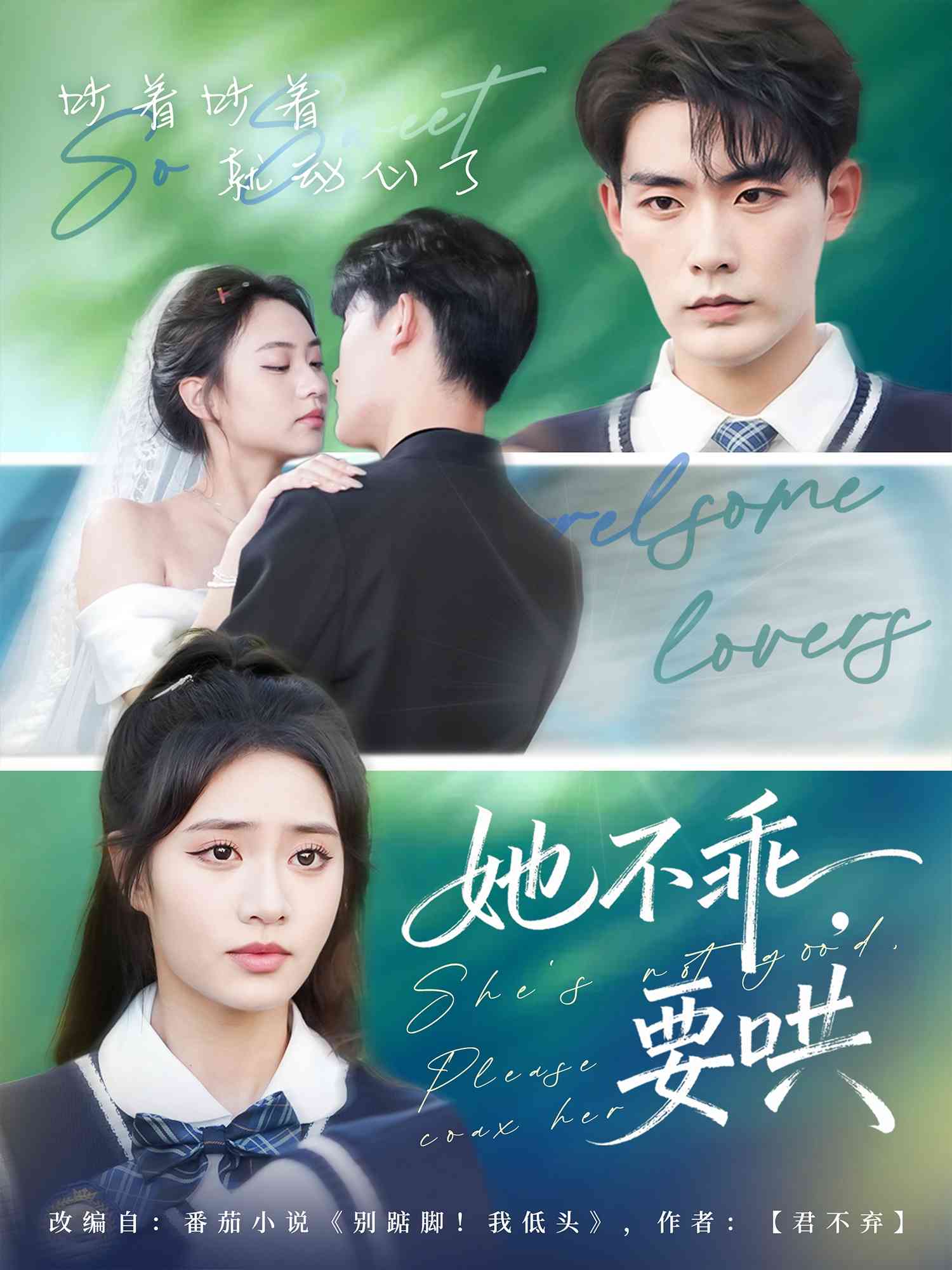 她不乖要哄_枫叶短剧聚合网