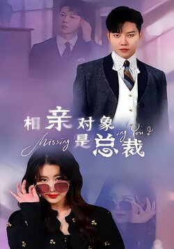 相亲对象是总裁