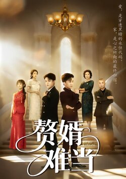 赘婿难当_枫叶短剧聚合网