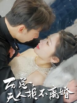 历总夫人拒不离婚