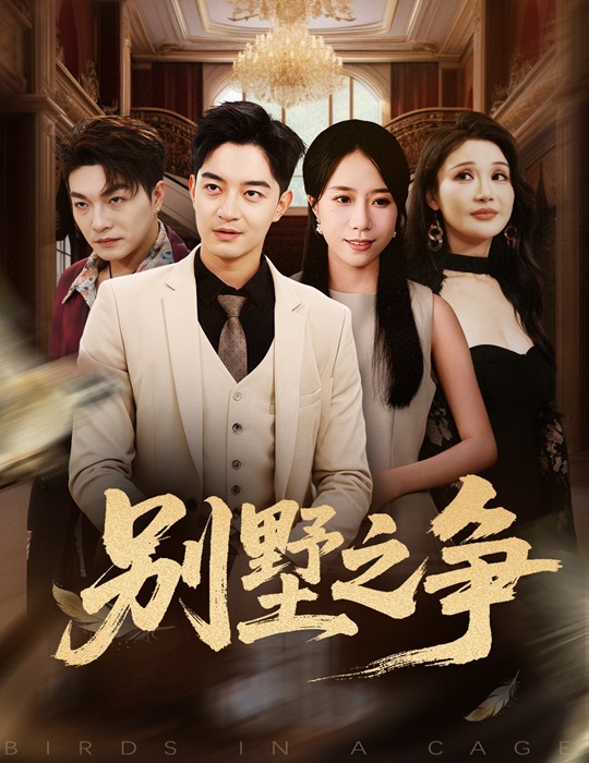 别墅之争_枫叶短剧聚合网