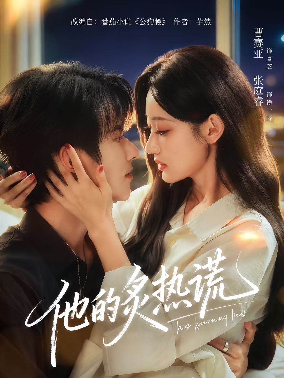 他的炙热谎_枫叶短剧聚合网