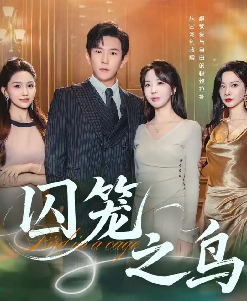 囚笼之鸟_枫叶短剧聚合网