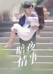 暗夜情事_枫叶短剧聚合网