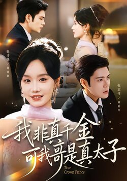 我非真千金，可我哥是真太子_枫叶短剧聚合网