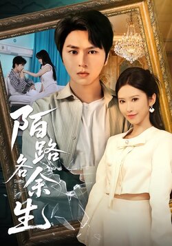 陌路各余生_枫叶短剧聚合网