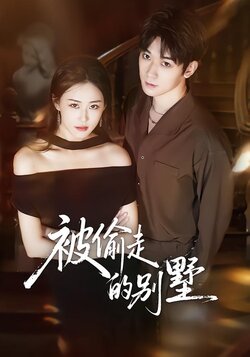 被偷走的别墅_枫叶短剧聚合网