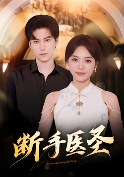 断手医圣_枫叶短剧聚合网