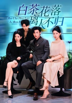 白茶花落离人不归_枫叶短剧聚合网