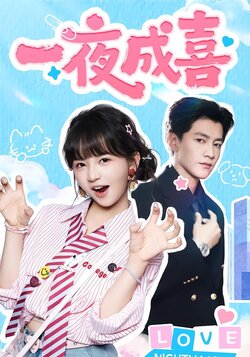 一夜成喜_枫叶短剧聚合网