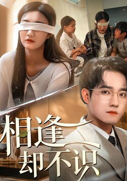 相逢却不识_枫叶短剧聚合网