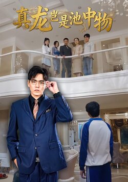 真龙岂是池中物_枫叶短剧聚合网