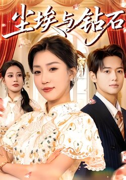 尘埃与钻石_枫叶短剧聚合网