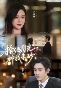 拾他月光种我朱砂_枫叶短剧聚合网