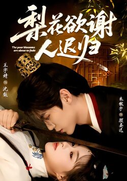 梨花欲谢人迟归_枫叶短剧聚合网