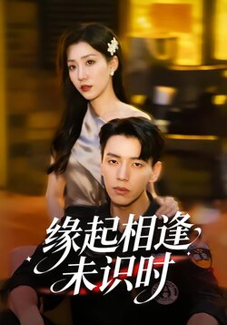 缘起相逢未识时_枫叶短剧聚合网