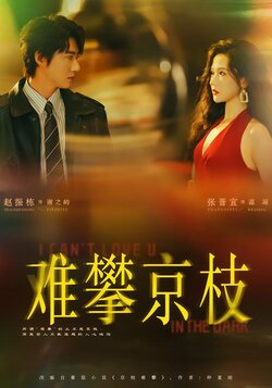 难攀京枝_枫叶短剧聚合网
