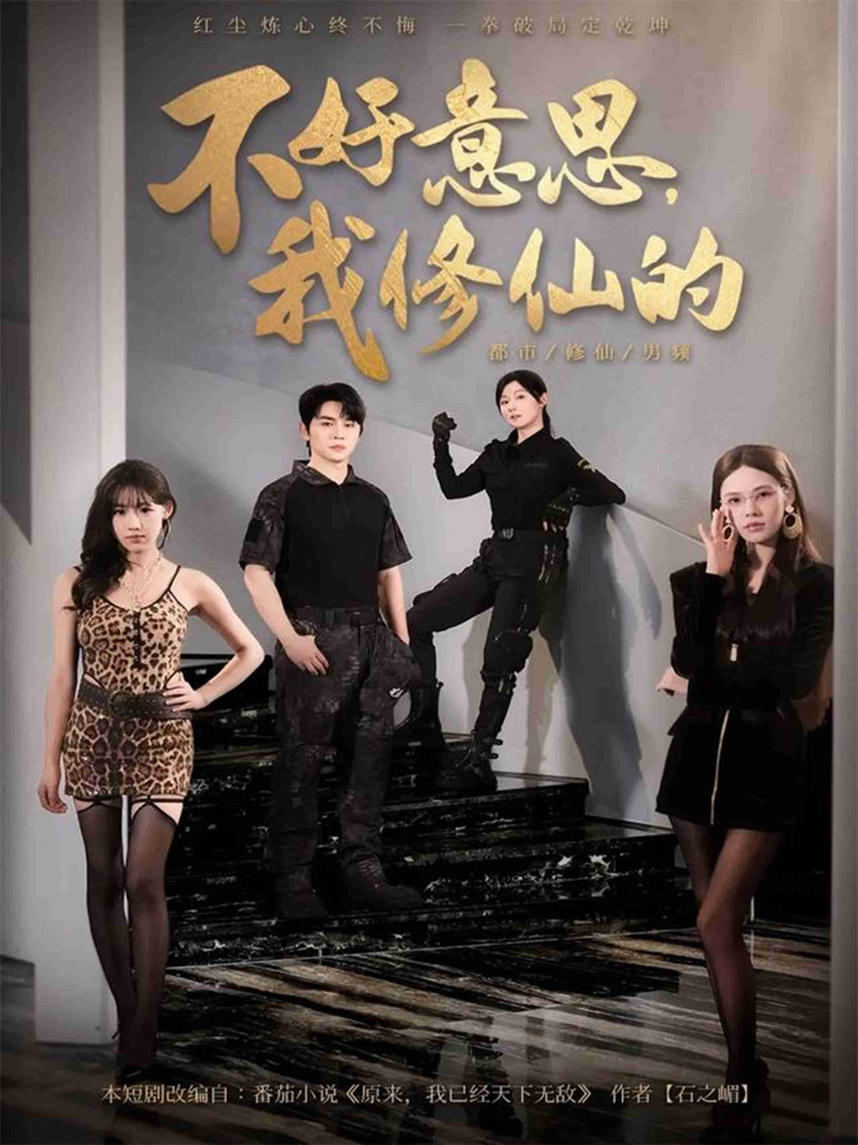 不好意思我修仙的_枫叶短剧聚合网