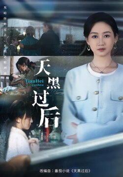 天黑过后_枫叶短剧聚合网