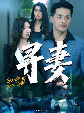 寻妻_枫叶短剧聚合网