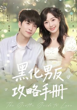 黑化男反攻略手册_枫叶短剧聚合网