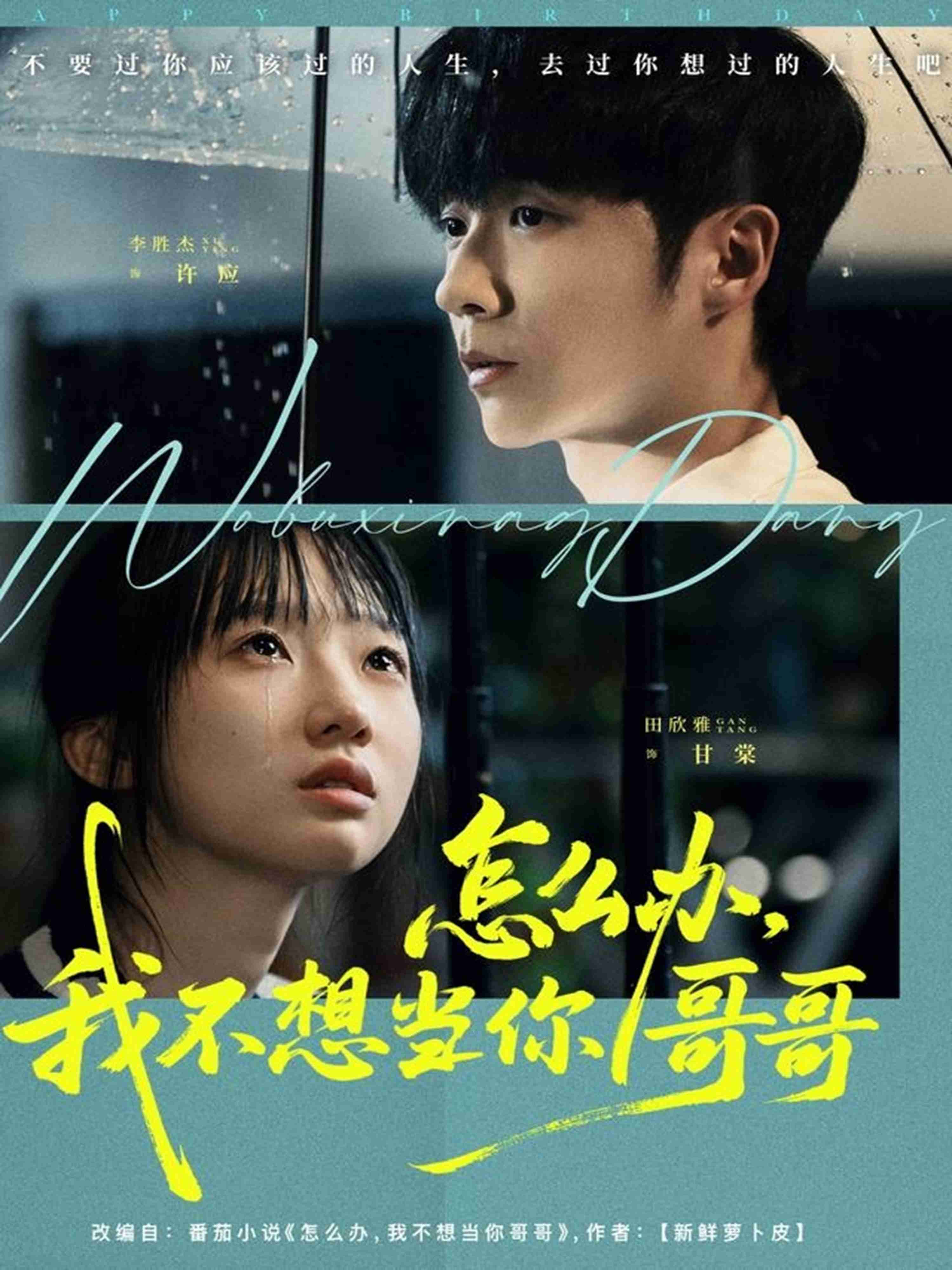 怎么办，我不想当你哥哥_枫叶短剧聚合网