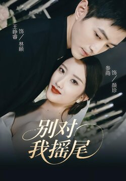 别对我摇尾_枫叶短剧聚合网