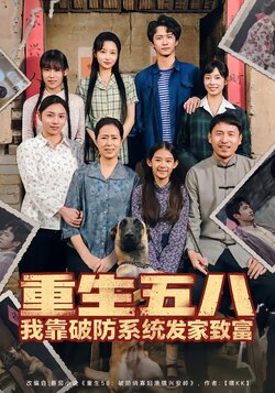 重生五八我靠破防系统发家致富_枫叶短剧聚合网