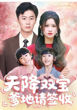 天降双宝爹地请签收_枫叶短剧聚合网