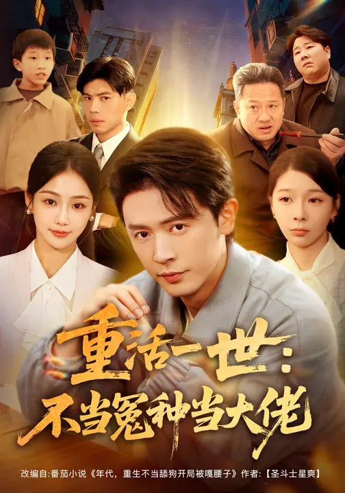 重活一世：不当怨种当大佬_枫叶短剧聚合网