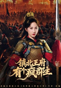 镇北王府有个疯郡主_枫叶短剧聚合网