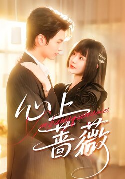 心上蔷薇_枫叶短剧聚合网