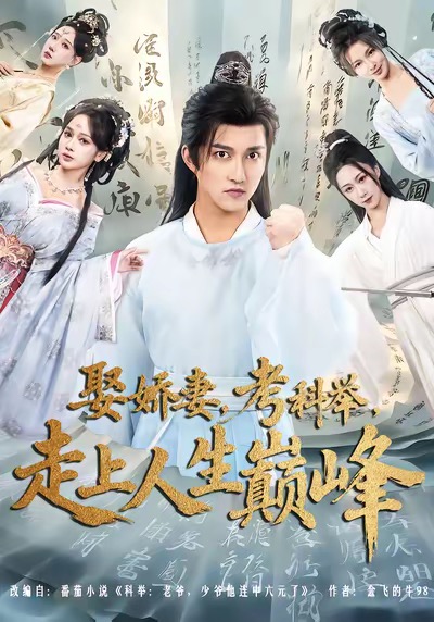 娶娇妻，考科举，走上人生巅峰_枫叶短剧聚合网