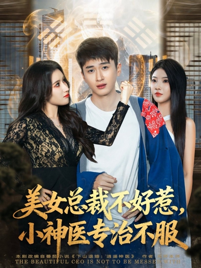 美女总裁不好惹，小神医专治不服_枫叶短剧聚合网