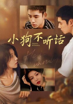 小狗不听话_枫叶短剧聚合网