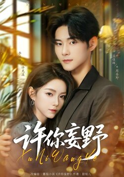 许你妄野_枫叶短剧聚合网