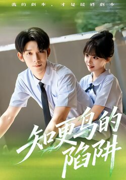 知更鸟的陷阱_枫叶短剧聚合网