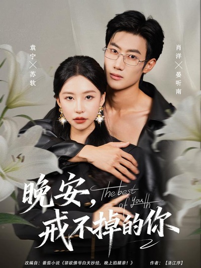 晚安，戒不掉的你_枫叶短剧聚合网