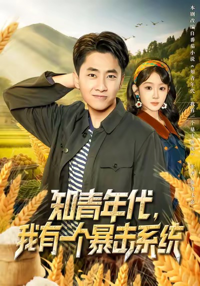 知青年代，我有一个暴击系统_枫叶短剧聚合网