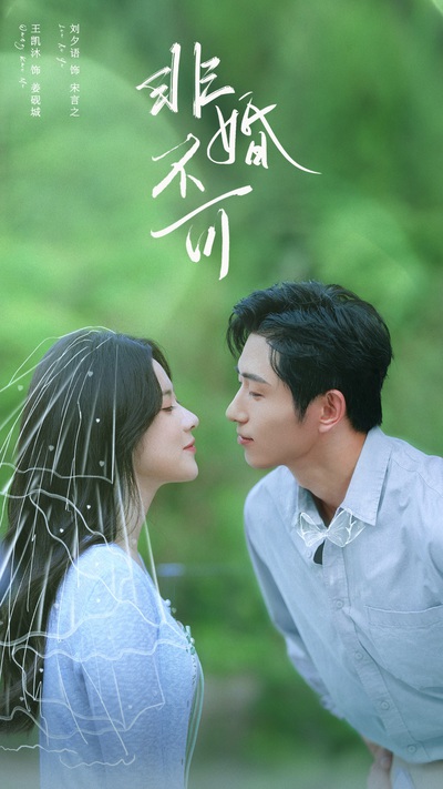 非婚不可_枫叶短剧聚合网