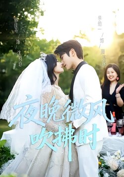 夜晚微风吹拂时_枫叶短剧聚合网