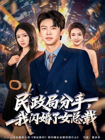 民政局分手，我闪婚了女总裁_枫叶短剧聚合网