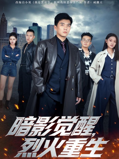 暗影觉醒，烈火重生_枫叶短剧聚合网