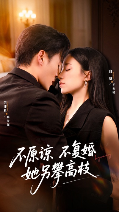 不原谅不复婚她另攀高枝_枫叶短剧聚合网