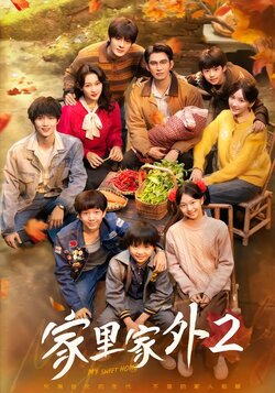 家里家外2_枫叶短剧聚合网