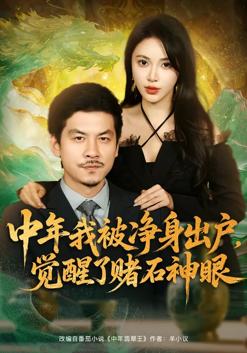 中年我被净身出户，觉醒了赌石神眼_枫叶短剧聚合网