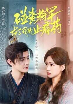碰瓷将军成了我的止痛药_枫叶短剧聚合网