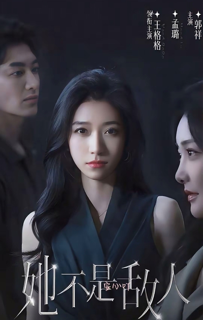 她不是敌人_枫叶短剧聚合网